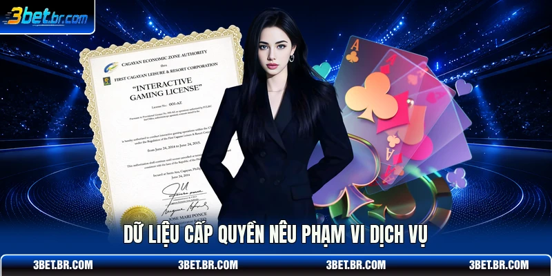 Dữ liệu cấp quyền nêu phạm vi dịch vụ