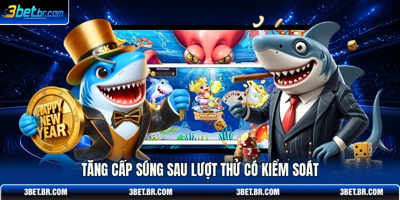 Tăng cấp súng sau lượt thử có kiểm soát