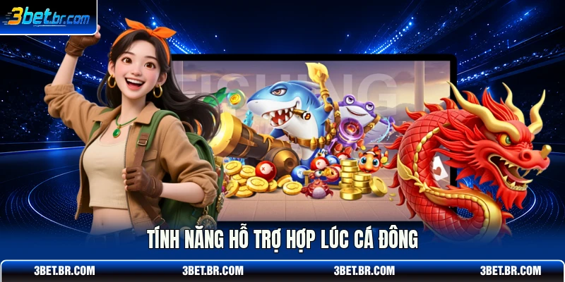 Tính năng hỗ trợ hợp lúc cá đông